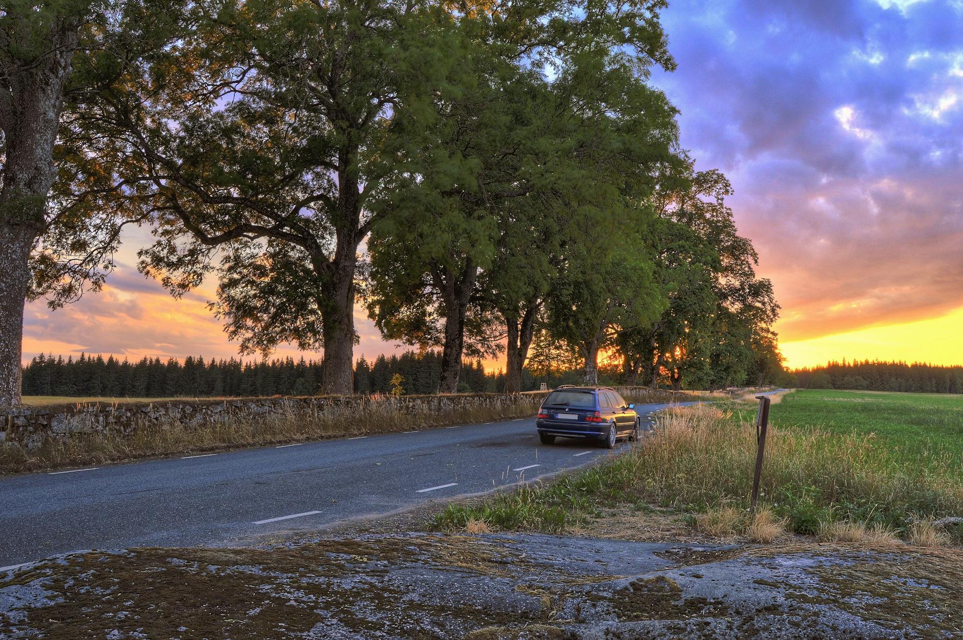 Straße durch herbstlich gefärbten Wald im Abendlicht