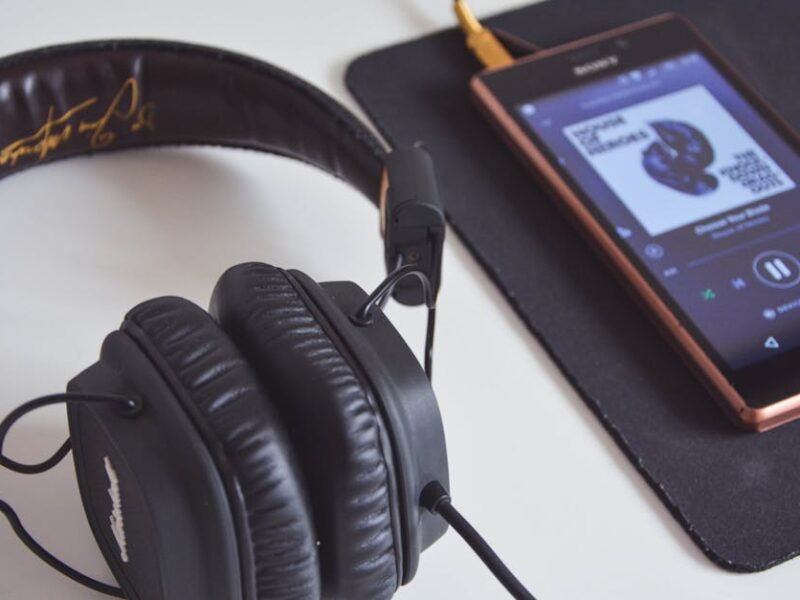 Spotify-Algorithmus verstehen: Wie Songs in Playlists landen